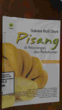 Image of SUKSES BUDI DAYA PISANG DI PEKARANGAN
