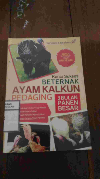 Image of Kunci Sukses Beternak Ayam Kalkun Pedaging 3 bulan Panen Besar