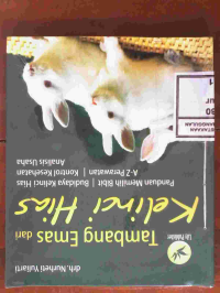 Image of Tips dan Trik Mudah Melejitkan Daya Ingat Anak