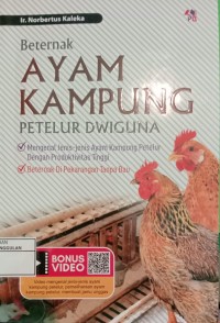 Image of Beternak ayam kampung petelur dwiguna
