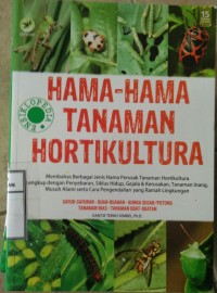 Image of Hama-hama tanaman holtikultura